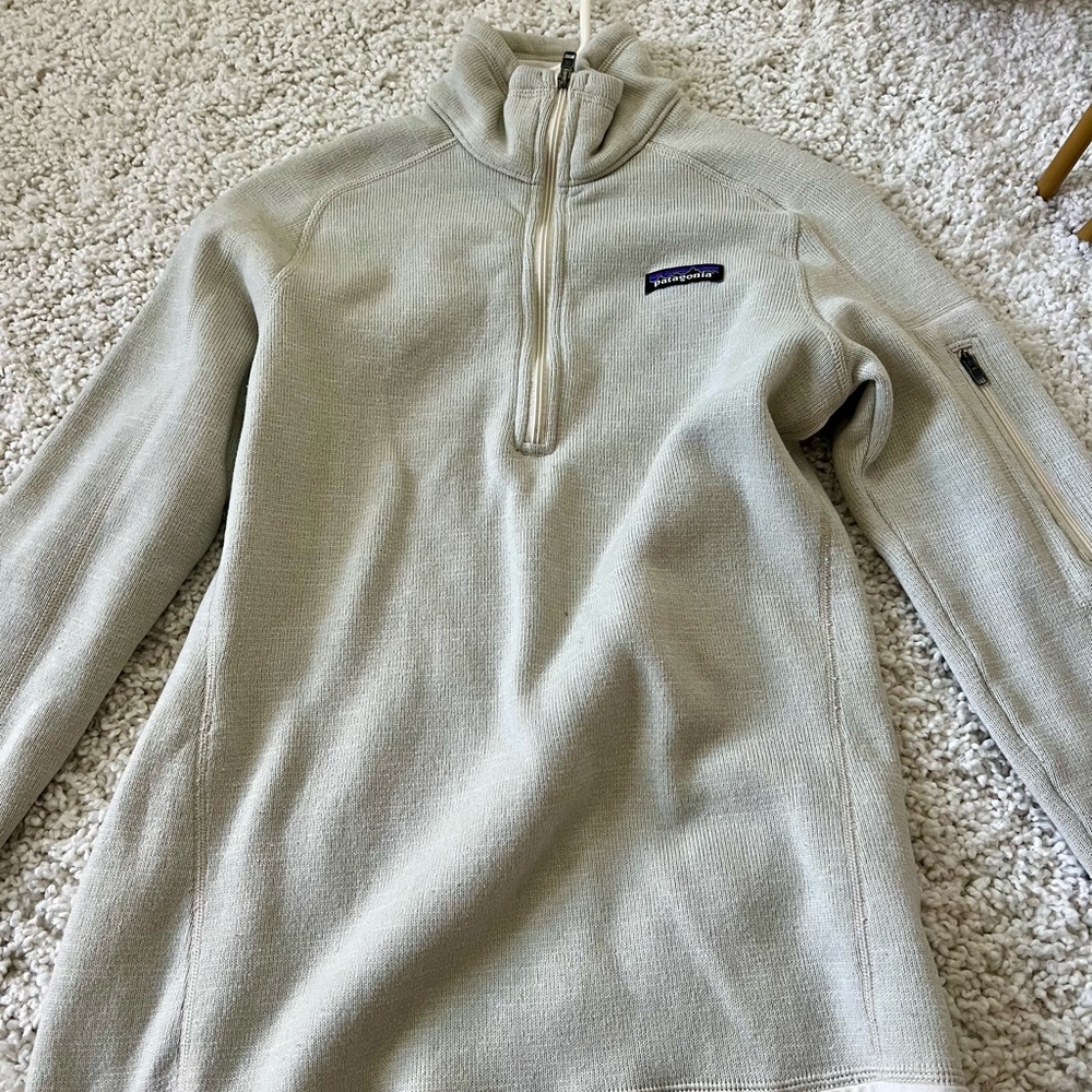 Patagonia sweatshirt